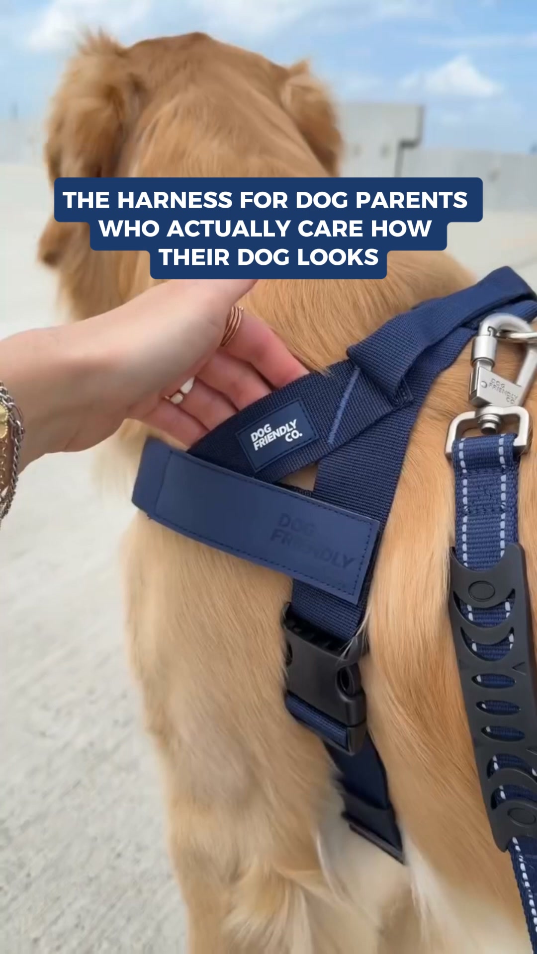 Rated #1 By Dog Owners