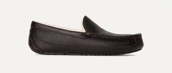 Ugg Fans