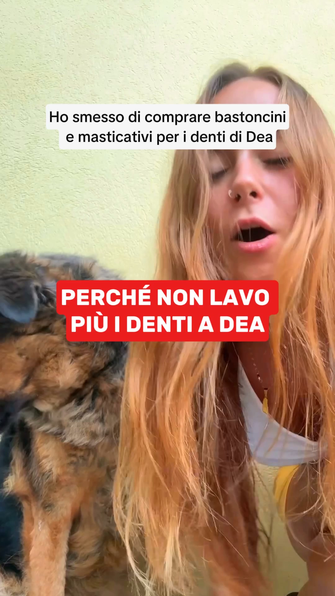 Aiuta il tuo cane oggi