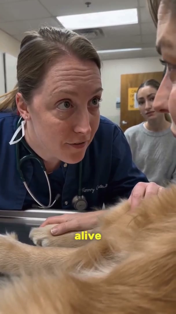 Your vet didn't tell you this about Apoquel