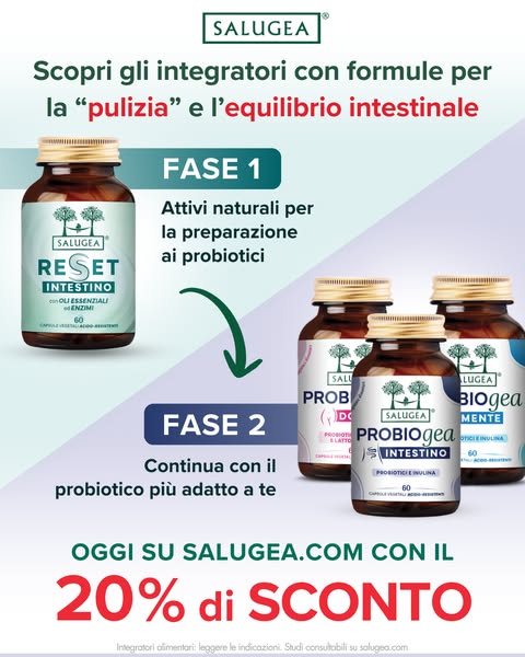 Intestino in equilibrio
