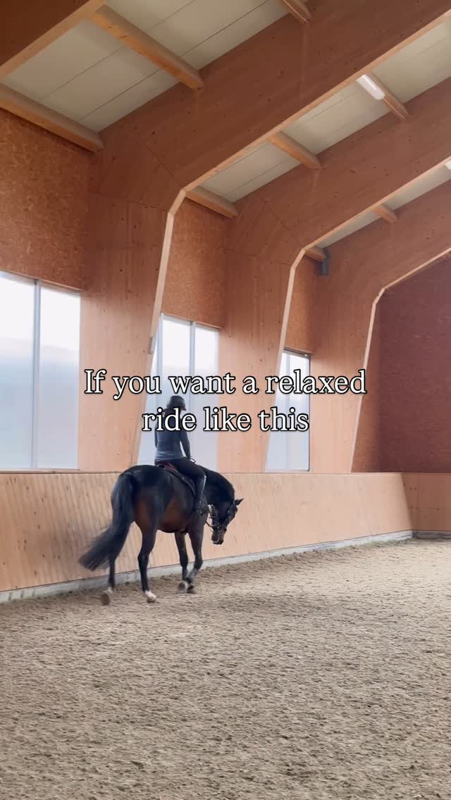 Anúncio de Canter Equestrian