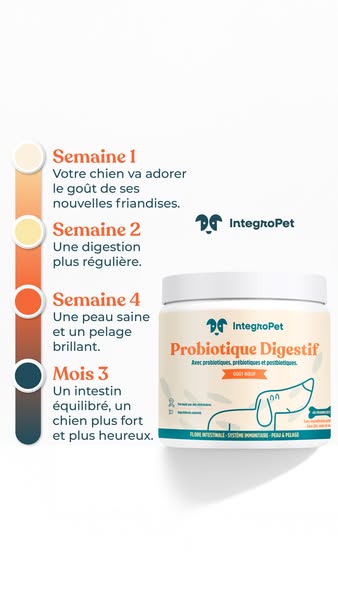 Aide ton chien dès aujourd'hui