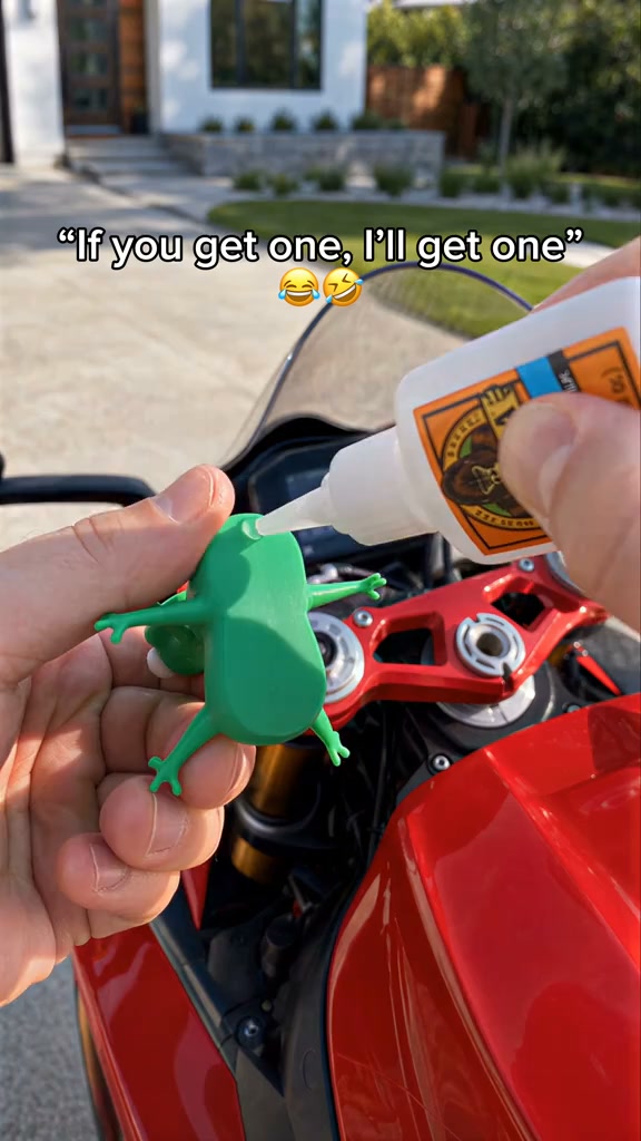 Roadside Lizard Buddy – Car & Motorcycle Decor