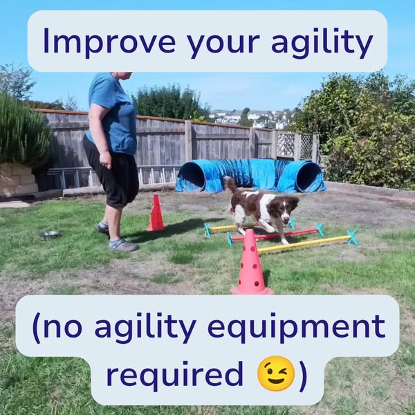 The skill every agility handler needs but nobody practises on course