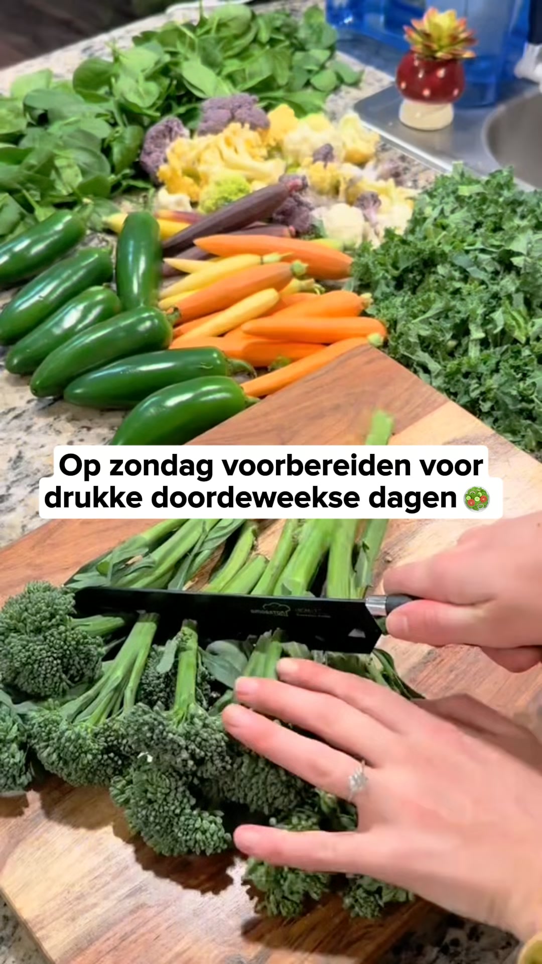 Houd eten tot 3x langer vers