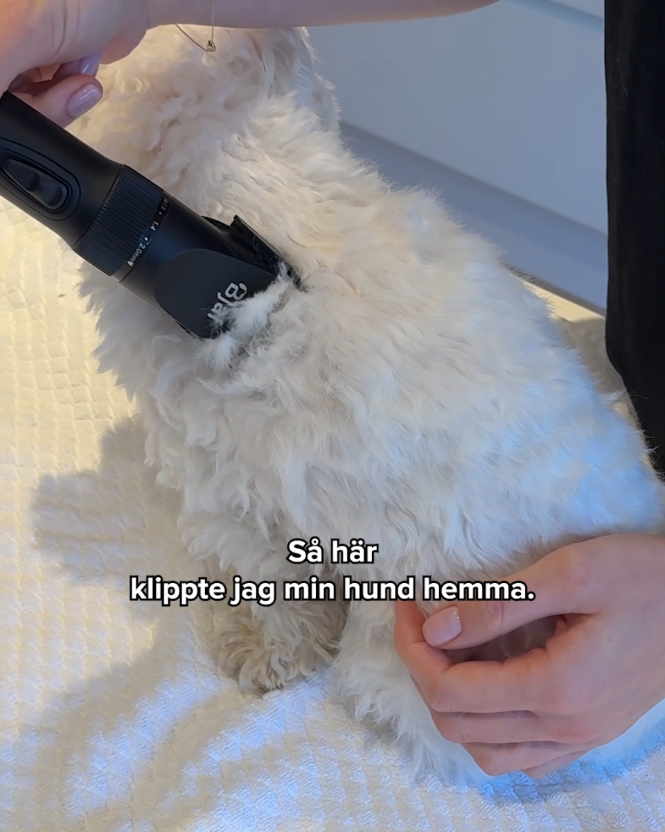 Snabb leverans och 100% nöjdhetsgaranti
