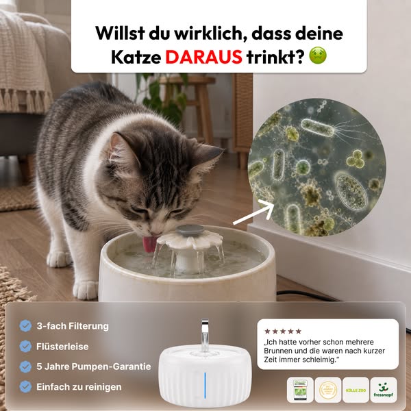 Willst du deine Katze wirklich daraus trinken lassen?