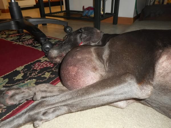 Push the lump tonight. Does it slide freely?