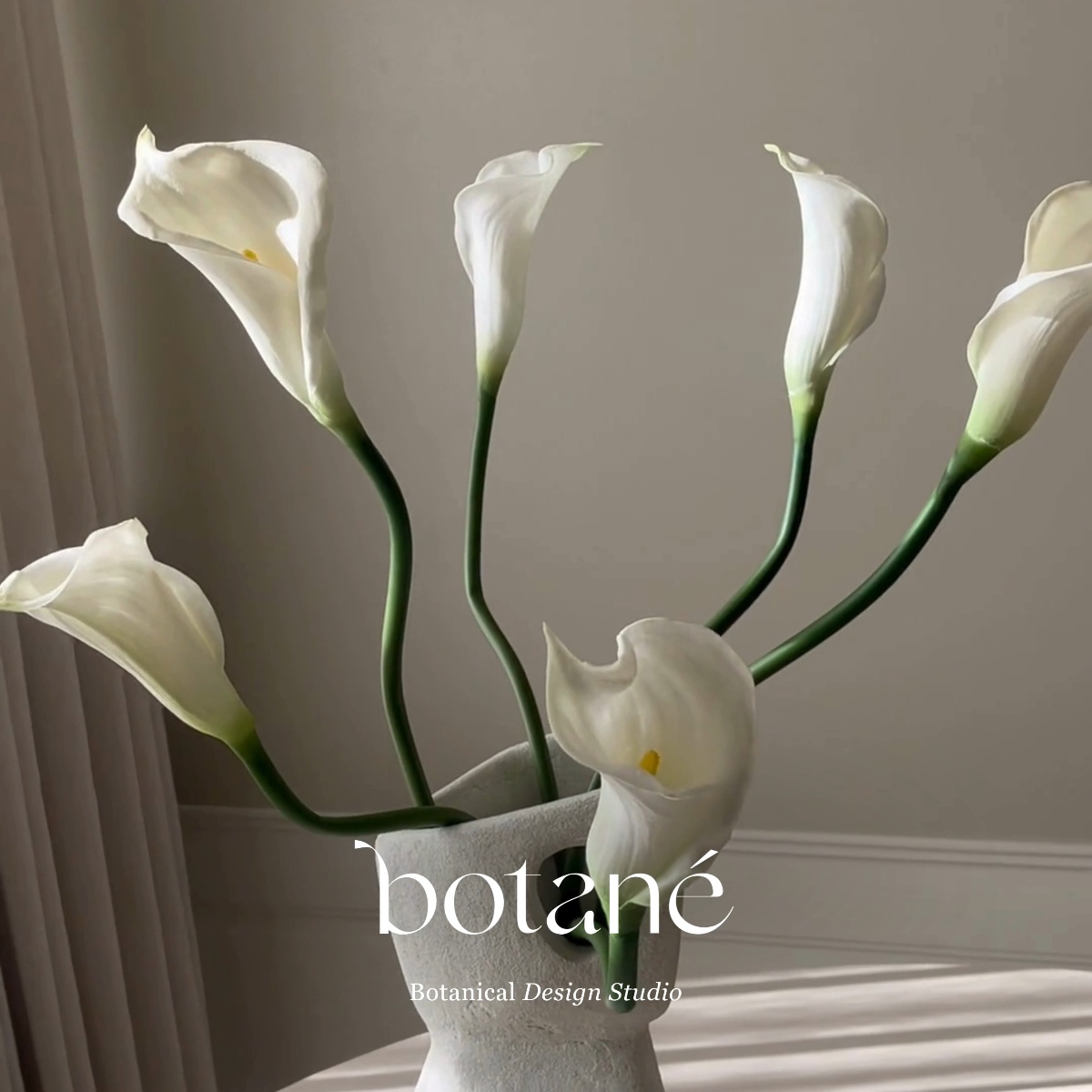 Botanical Design from Botané
