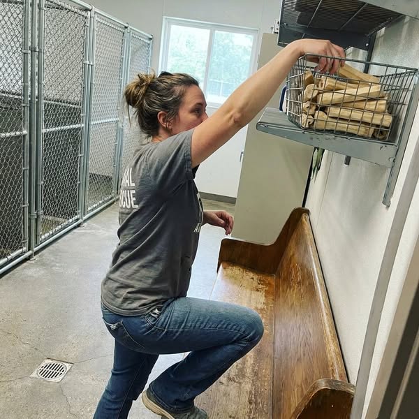 Shelter Bans Every Chew But One