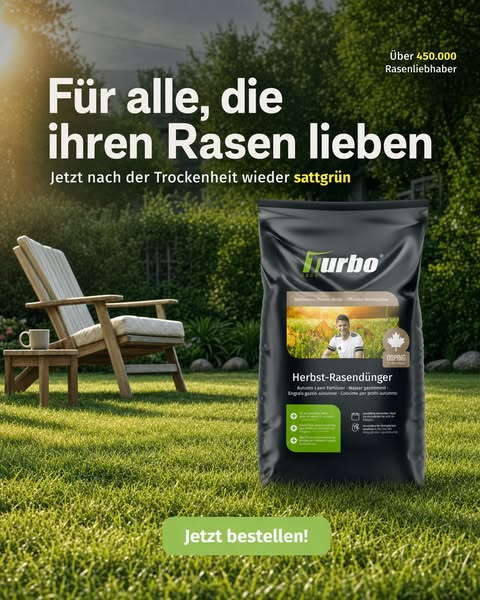 Rasen nach dem Sommer retten