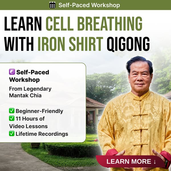 Complete Iron Shirt Qigong course