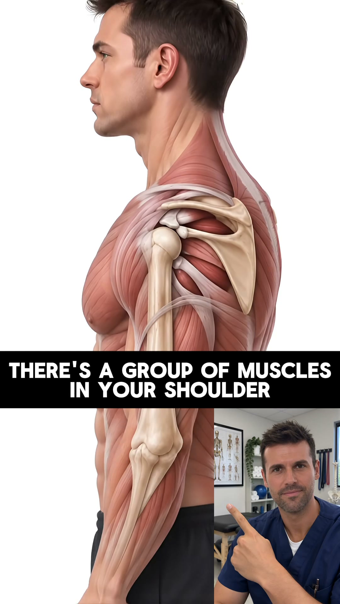 The Only Arm Trainer You'll Ever Need