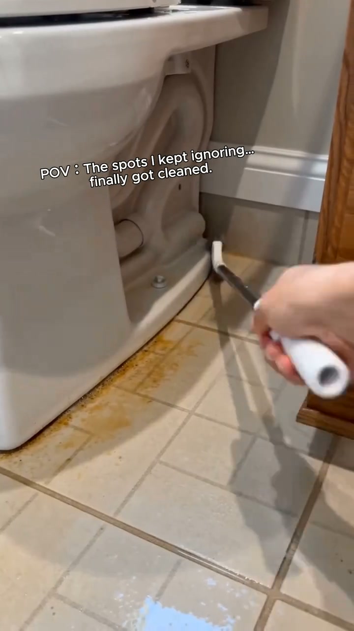 Adjustable Telescopic Long Handle Crevice Cleaning Tool