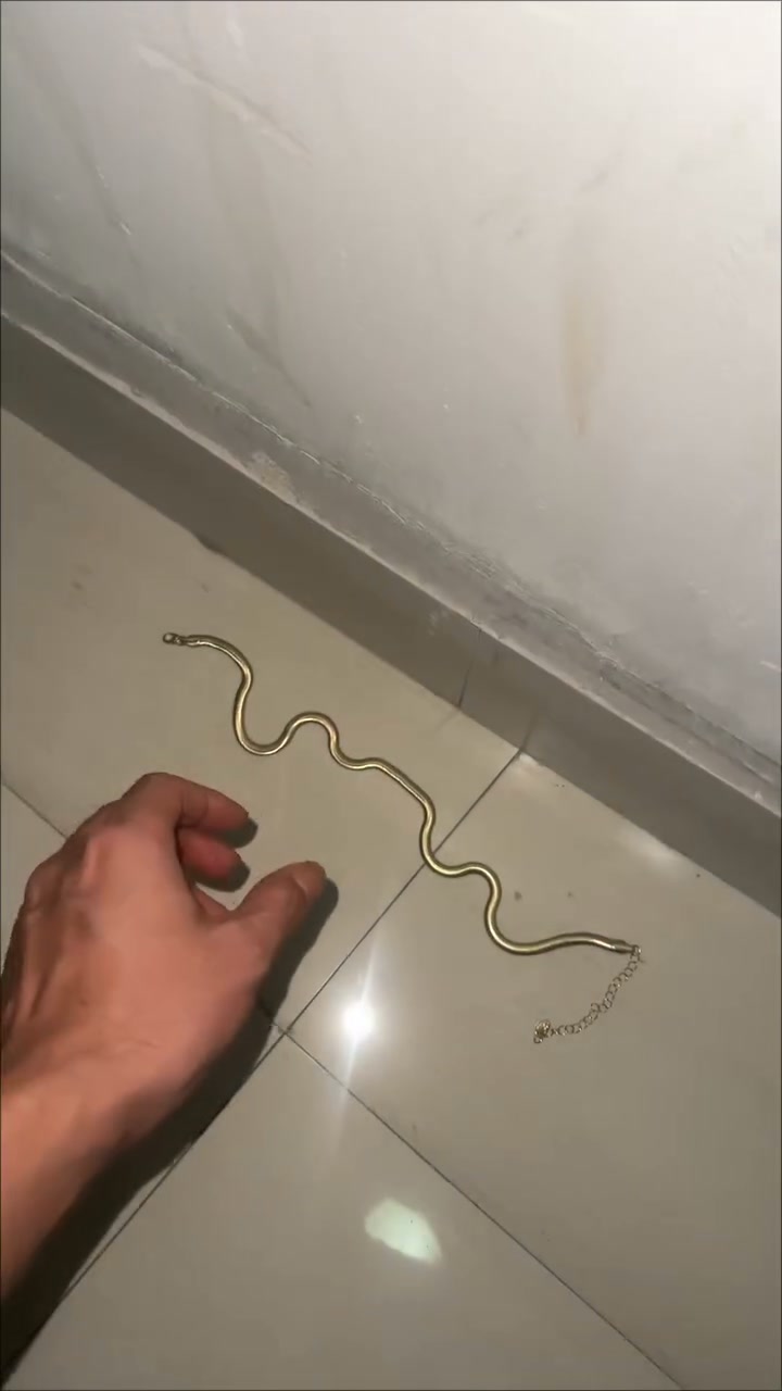 Wait… Is That a Real Snake?