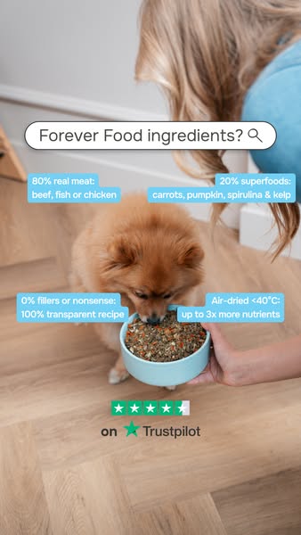 Done with ultra-processed food? So is your dog.