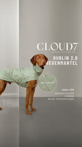 Wetterfest für jeden Hund