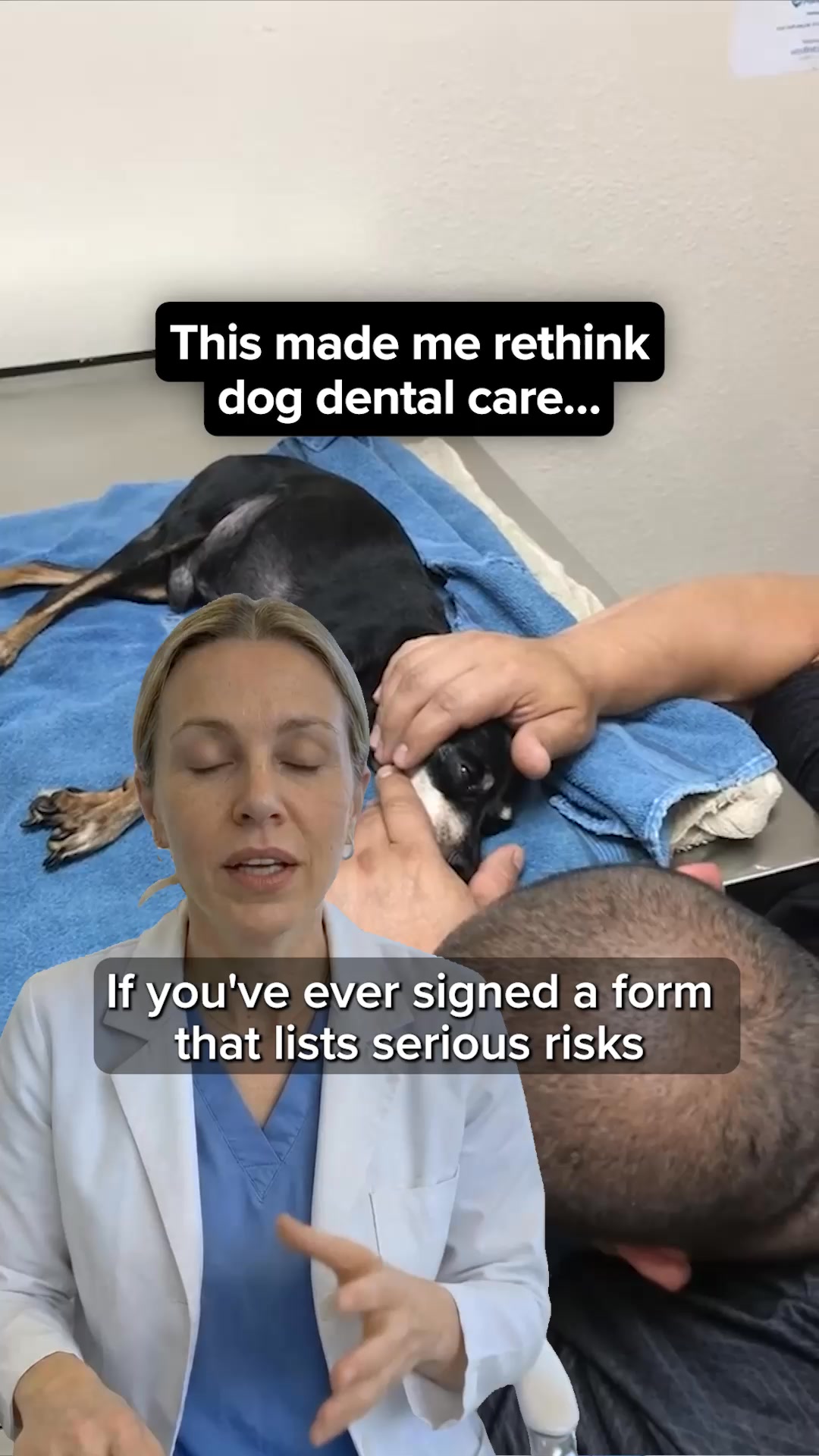 Easiest Routine for Cleaner Dog Teeth