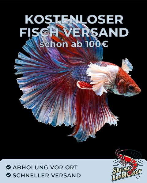 Kostenloser Fischversand ab 100 €
