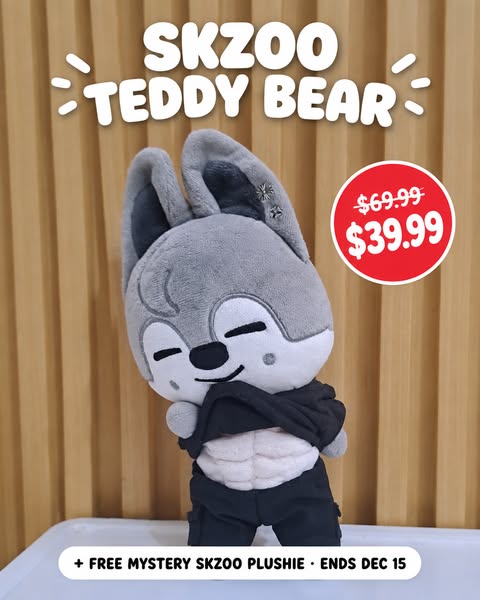 SKZOO Teddy + Free Mystery Plushie