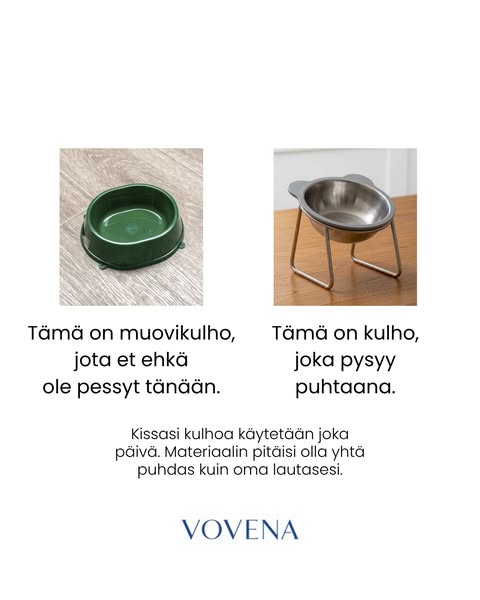 Ergonominen 15° kulho kissoille