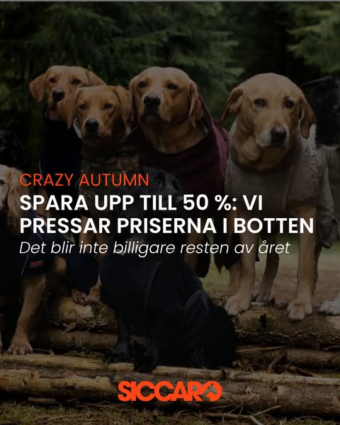 CRAZY AUTUMN: Spara upp till 50 % hos Siccaro