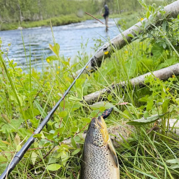 Tutustu kattavaan valikoimaan
