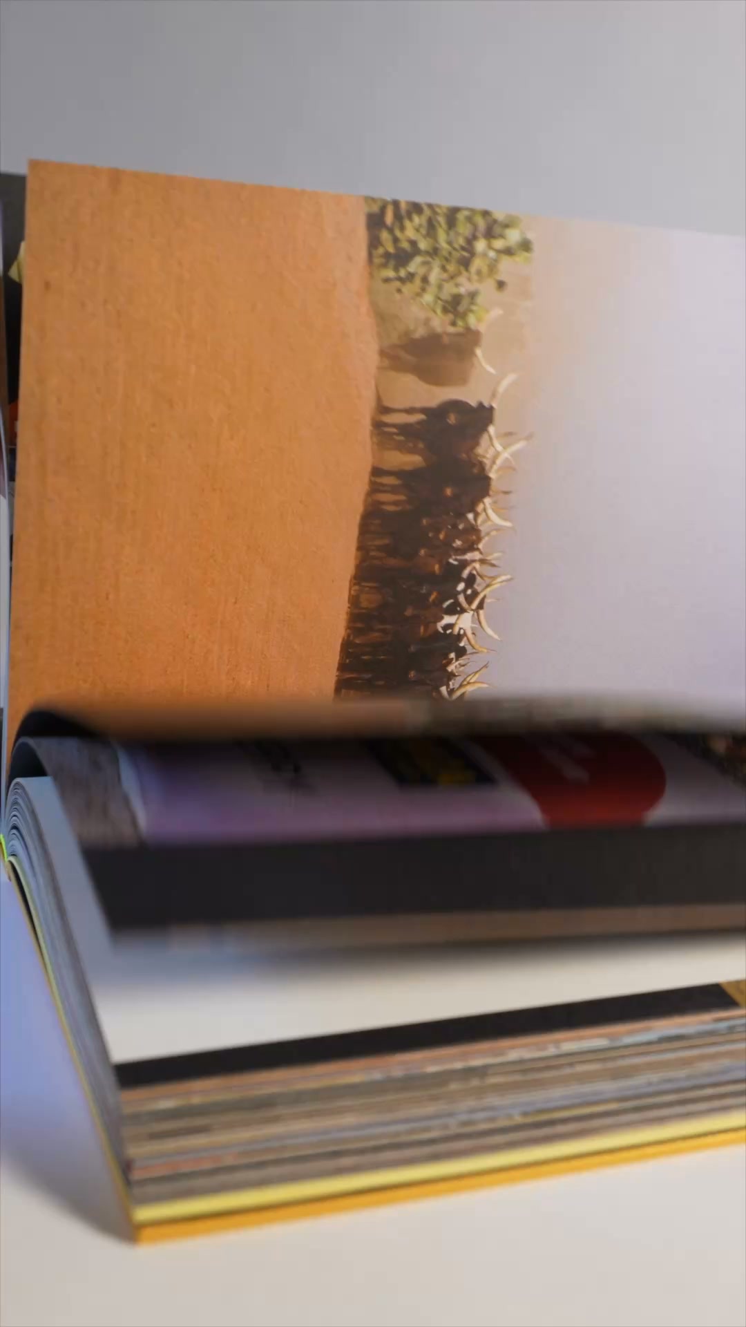 Discover Dakarchives