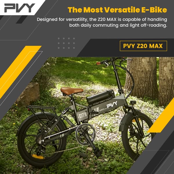 Dual Battery Torque Sensor E-Bike