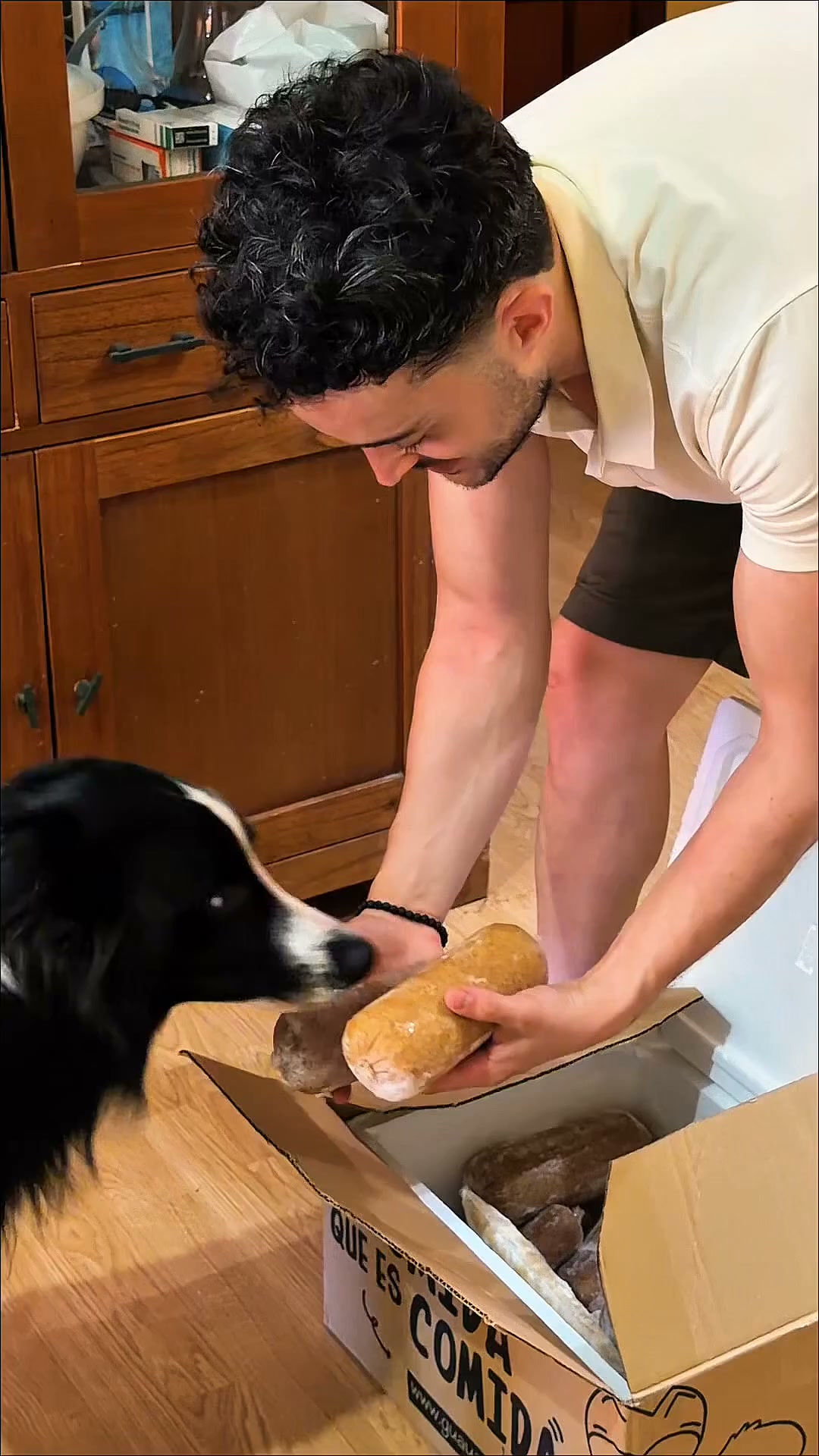 Comida natural para tu perro por menos que un café al día. Calcula tu precio exacto en 2 minutos.