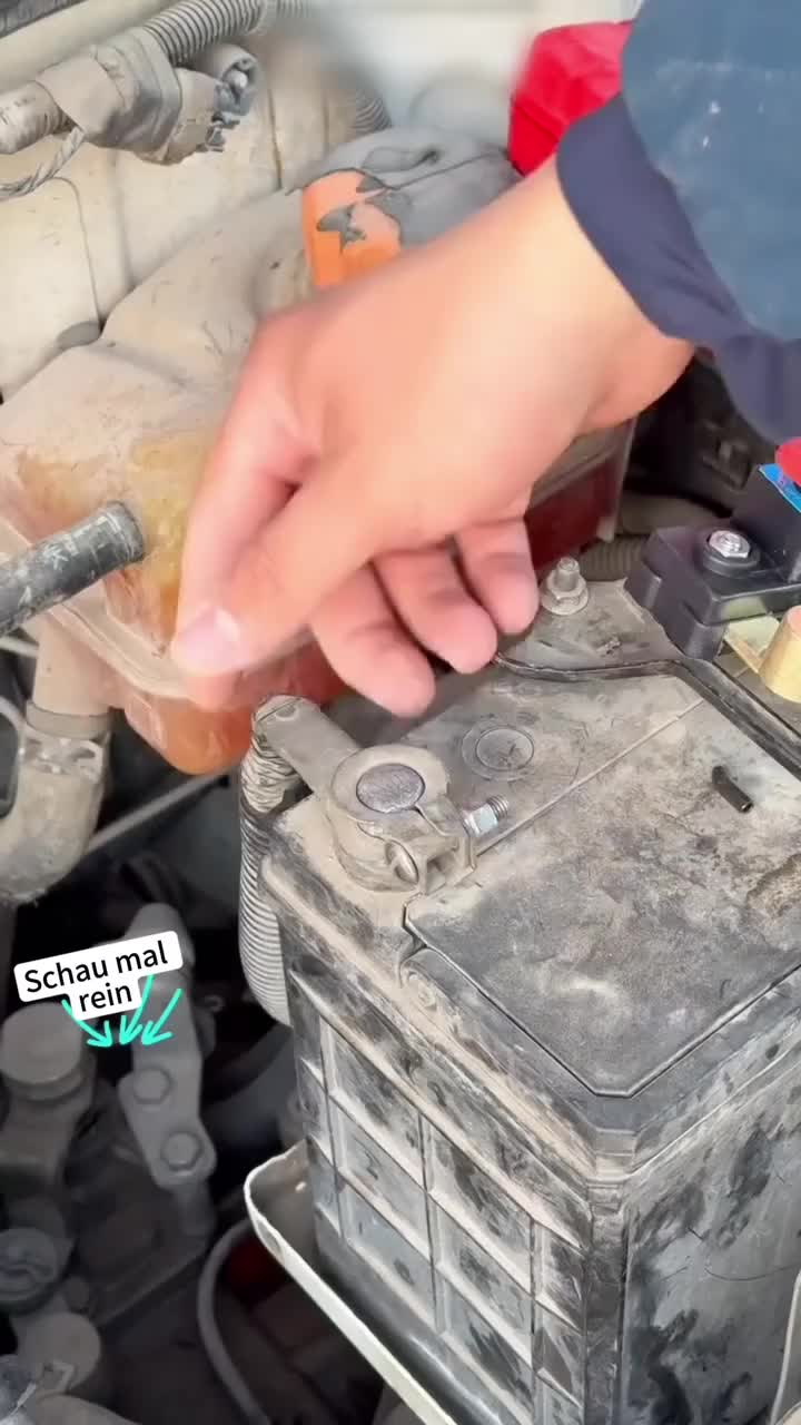 Universeller Batterietrennschalter und Auslaufschutz