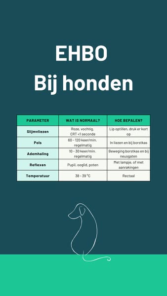 EHBO bij huisdieren