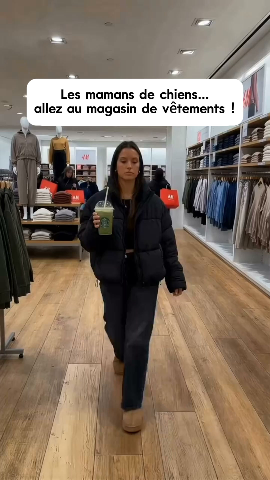 Livraison gratuite Sweat à capuche douillet pour animaux – avec poche intégrée pour chats et petits chiens