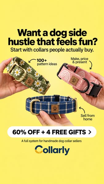 Start a Dog Collar Side Hustle From Home