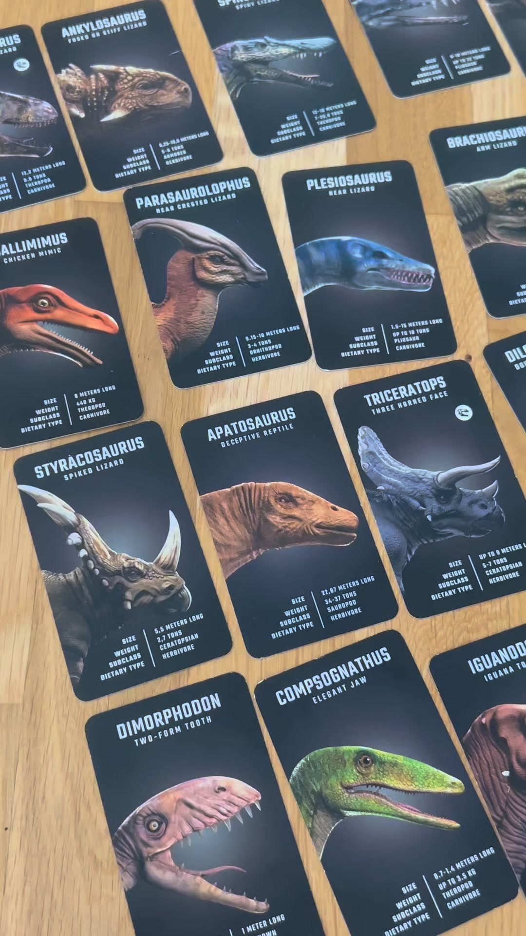 Complete Your 4D+ Learning Collection