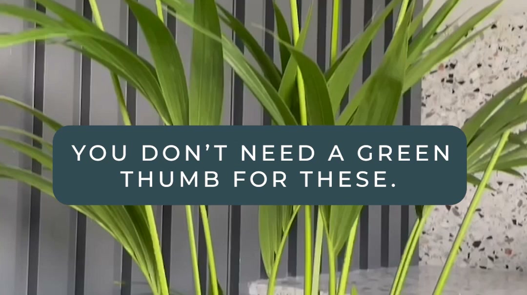 For serial plant killers