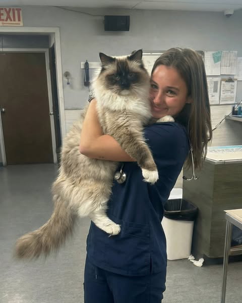 Il 75% dei reni del tuo gatto è già distrutto prima che gli esami del sangue lo vedano