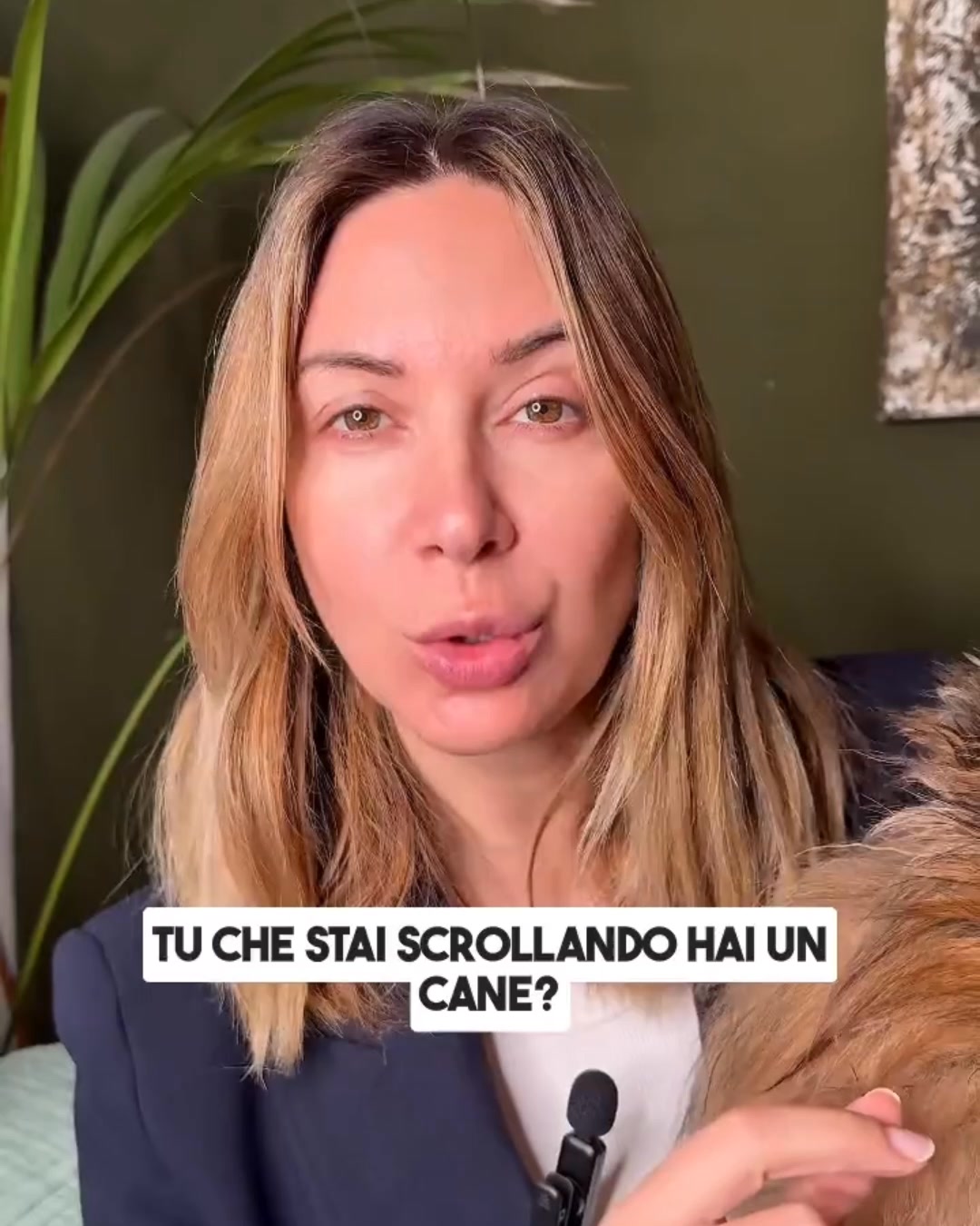 Il petfood più amato ora al 20%