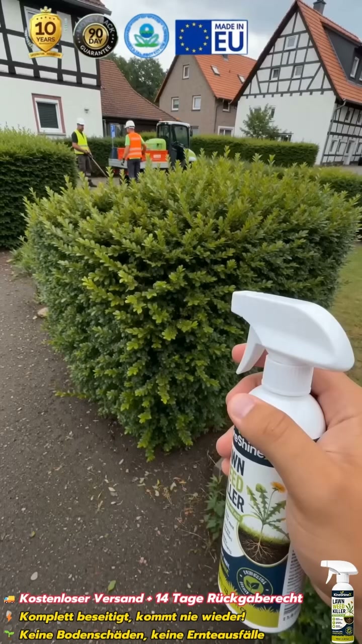 Endlich unkrautfrei – ohne Bücken und Zupfen!