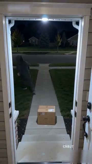 Light Up Your Yard. Add A Security Look.