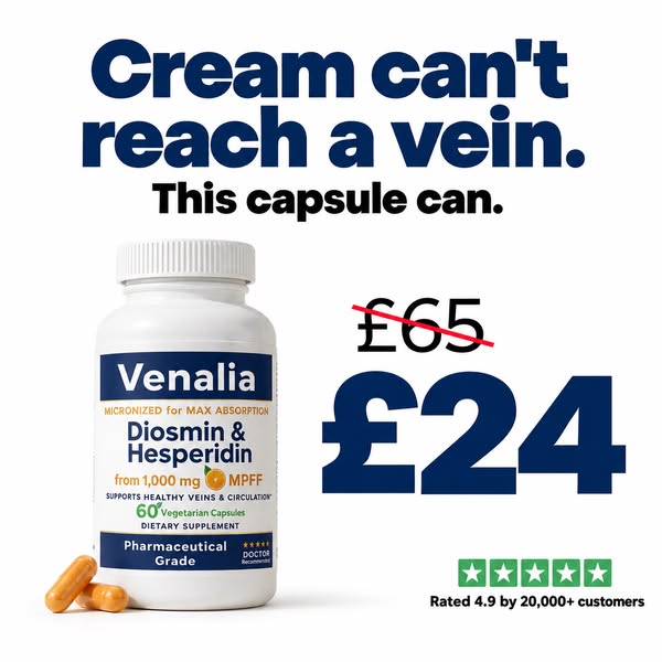The Vein Support Your Piles Need