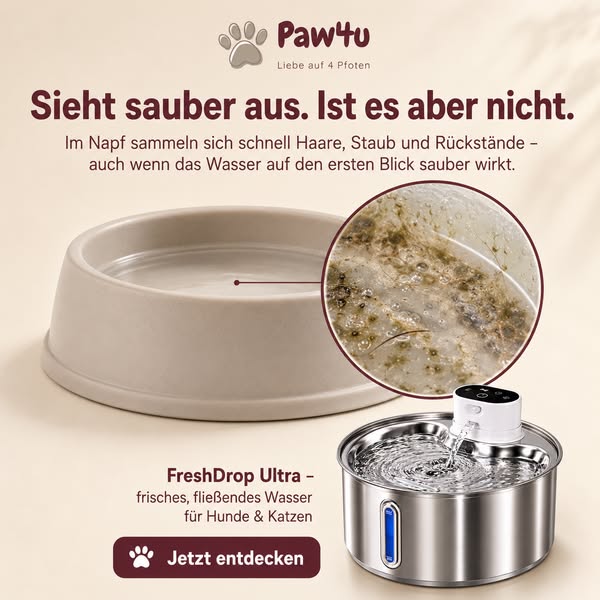 Dein Vierbeiner verdient frisches Wasser – jeden Tag!