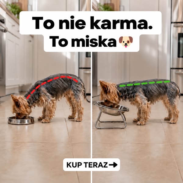 Prosta Zmiana = Zdrowy Kark