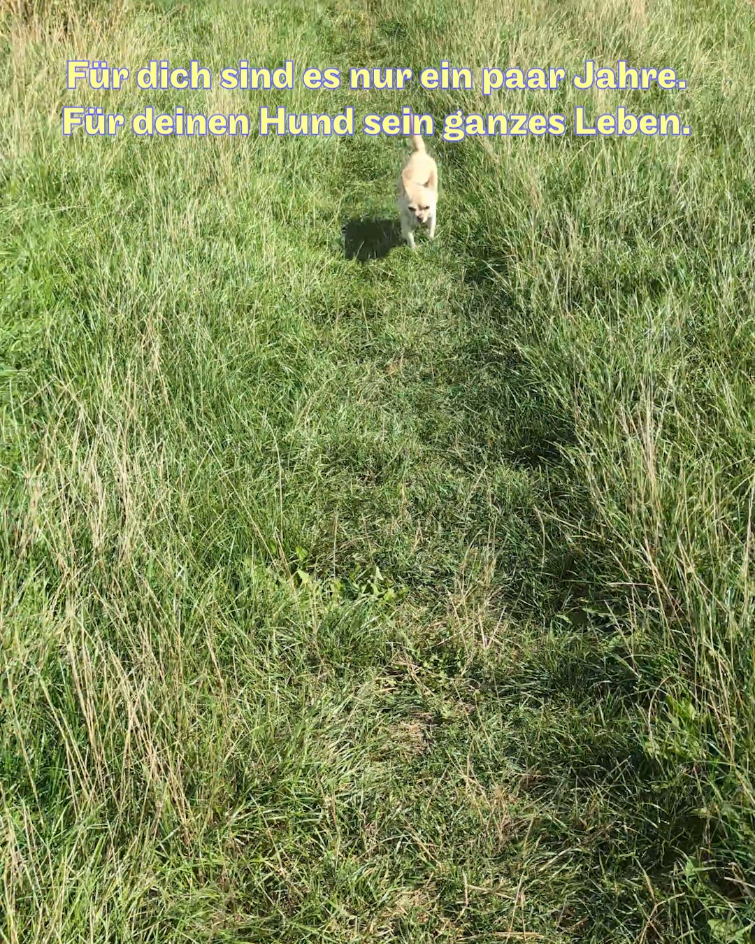 Jetzt 30% Test-Rabatt sichern