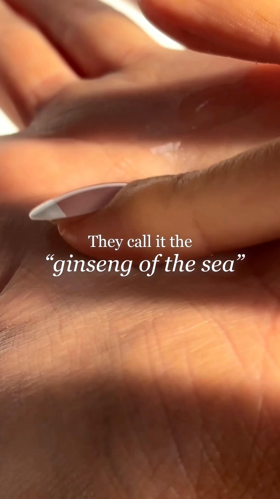 They call it the ‘ginseng of the sea’
