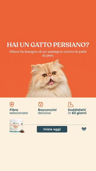 Aiuta il tuo gatto oggi