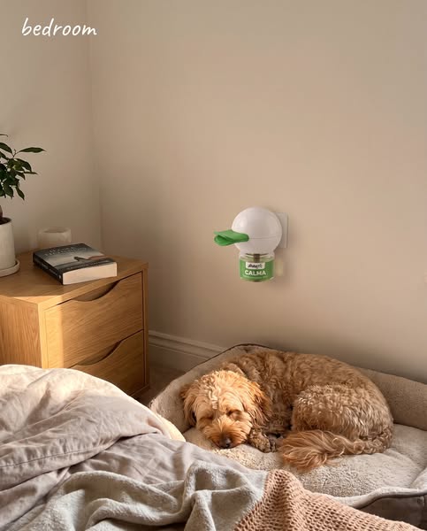 One Diffuser Per Room. Real Results In 2–4 Weeks.