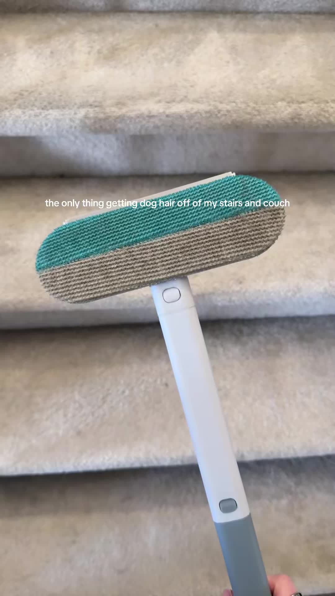 pet owners this is such a game changer