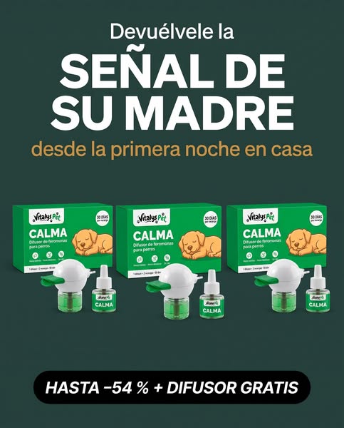 Hasta −54 % + difusor GRATIS
